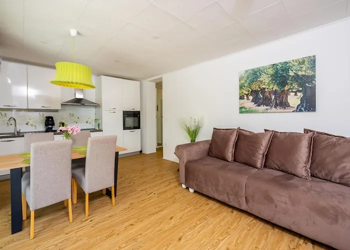 Relax Derossi 2 דירה